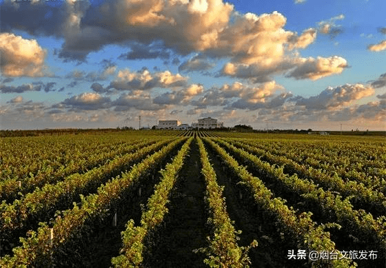 地方|刚刚，名单公示！烟台这些地方要火，看看有没有你家