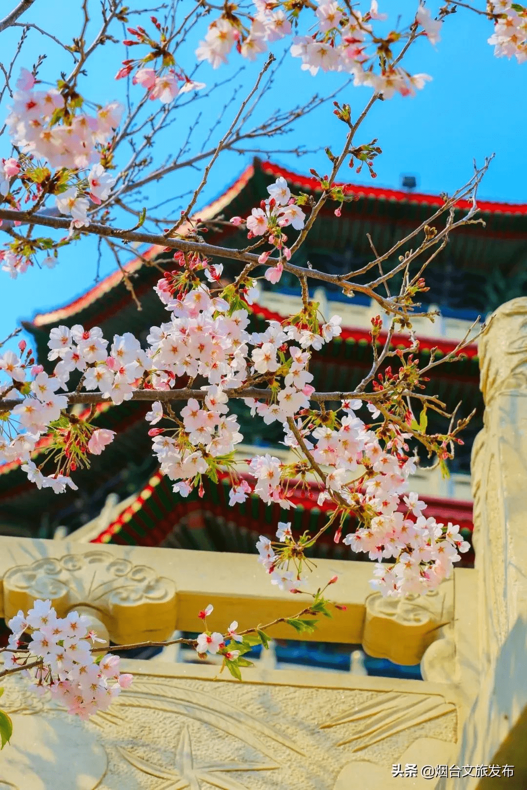 蓬莱|准备好迎接蓬莱的第一抹春色，开启全新旅程吧~