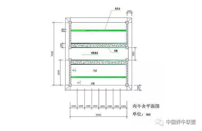 100头养牛场建设图纸图片