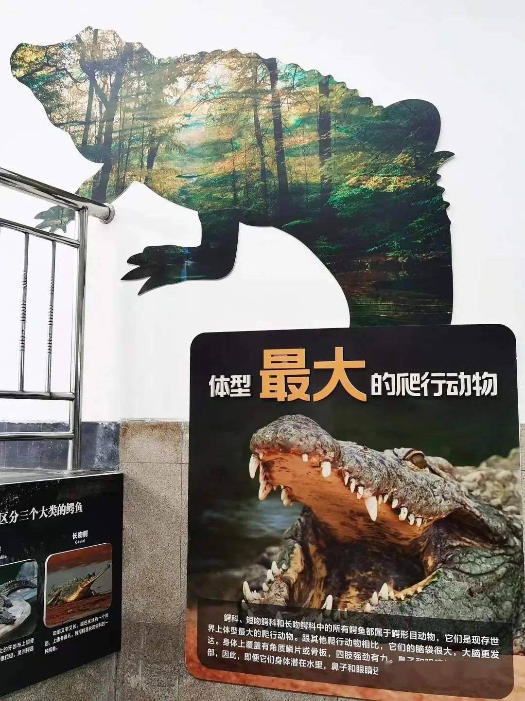 中国最大爬行动物馆图片