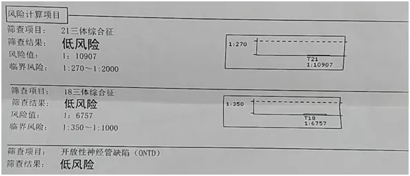 产前筛查报告单正常值图片