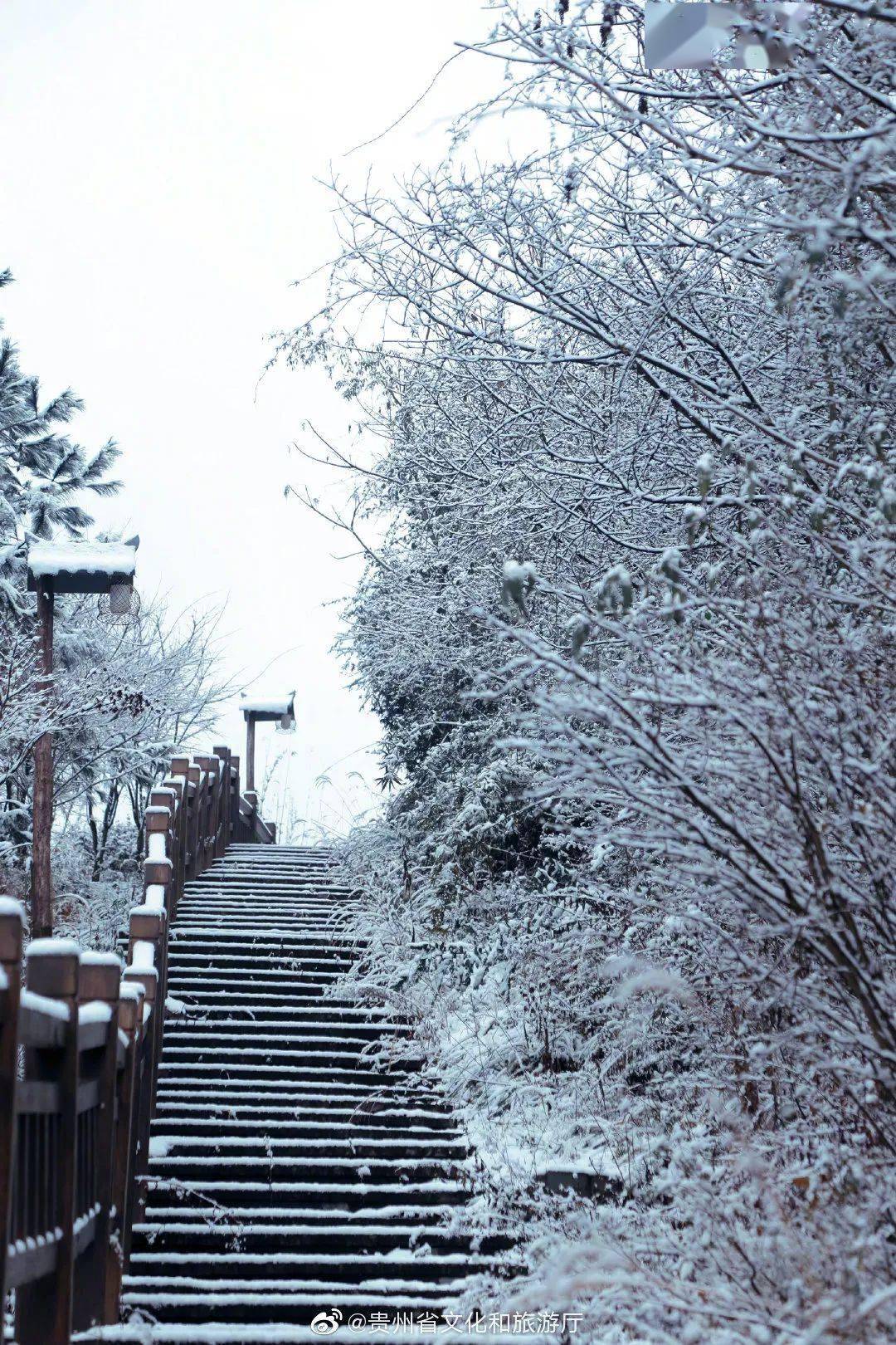 贵州雪景图片图片