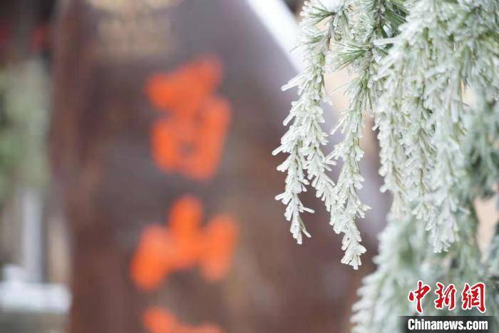 张明珉|浙江百山祖国家公园迎降雪 风景如画