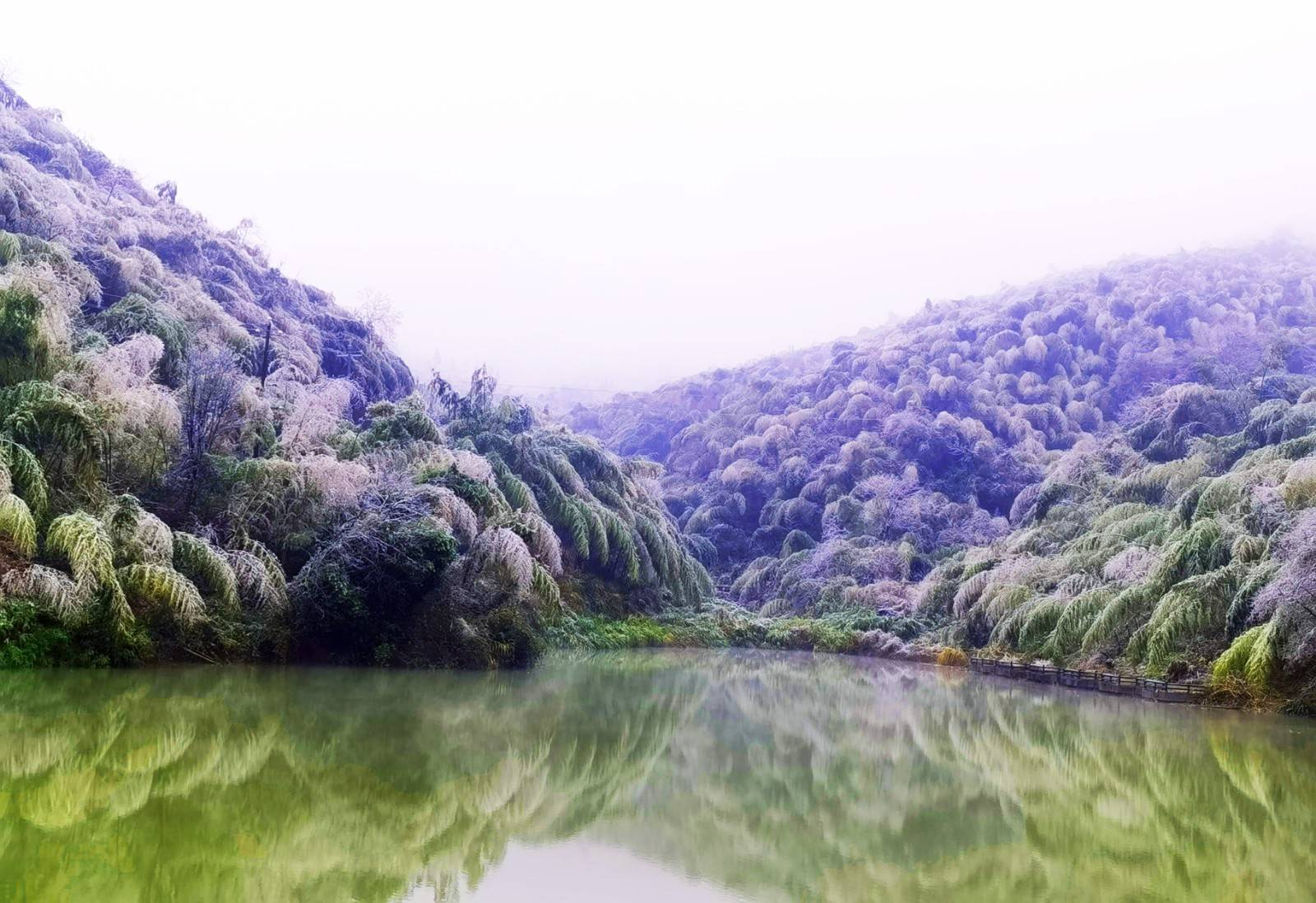 耒陽:蔡倫竹海春光雪景如人間仙境_楊明濤_景區_竹林