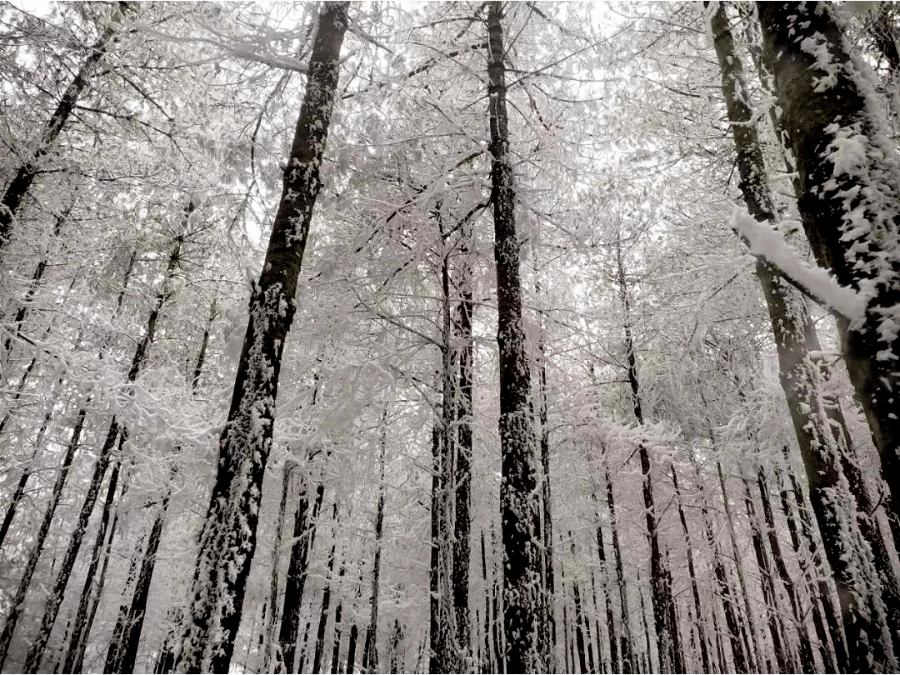 雪花|冬奥会里的那朵雪花飘到昆明来啦！ | 昆明文旅动态