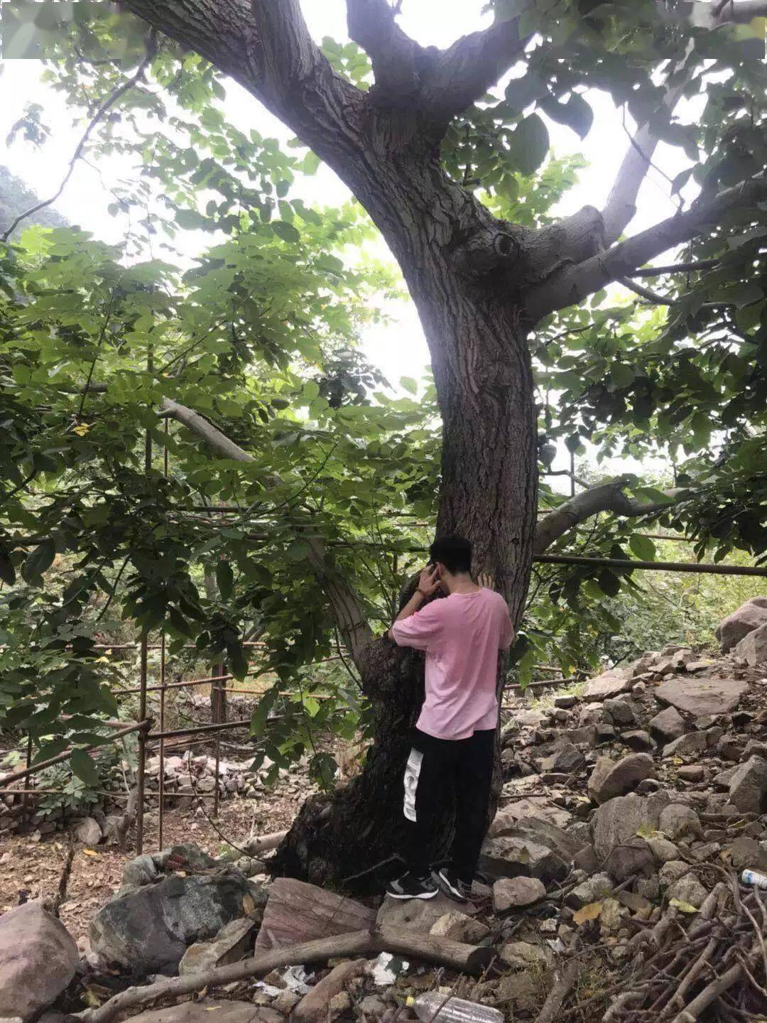 文玩核桃到底怎么盘才能达到最佳的养生功效