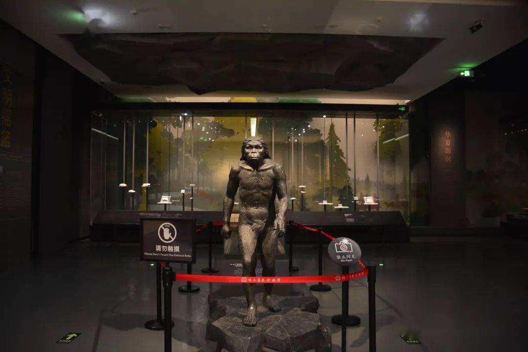 陕西古代文明文明摇篮人猿揖别