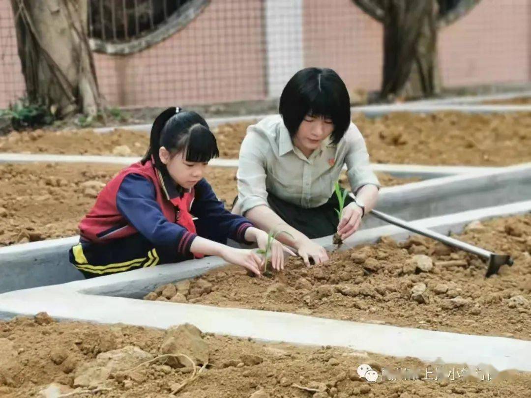 校长来了惠州市上排小学校长魏小莉让每一个生命都蓬勃向上