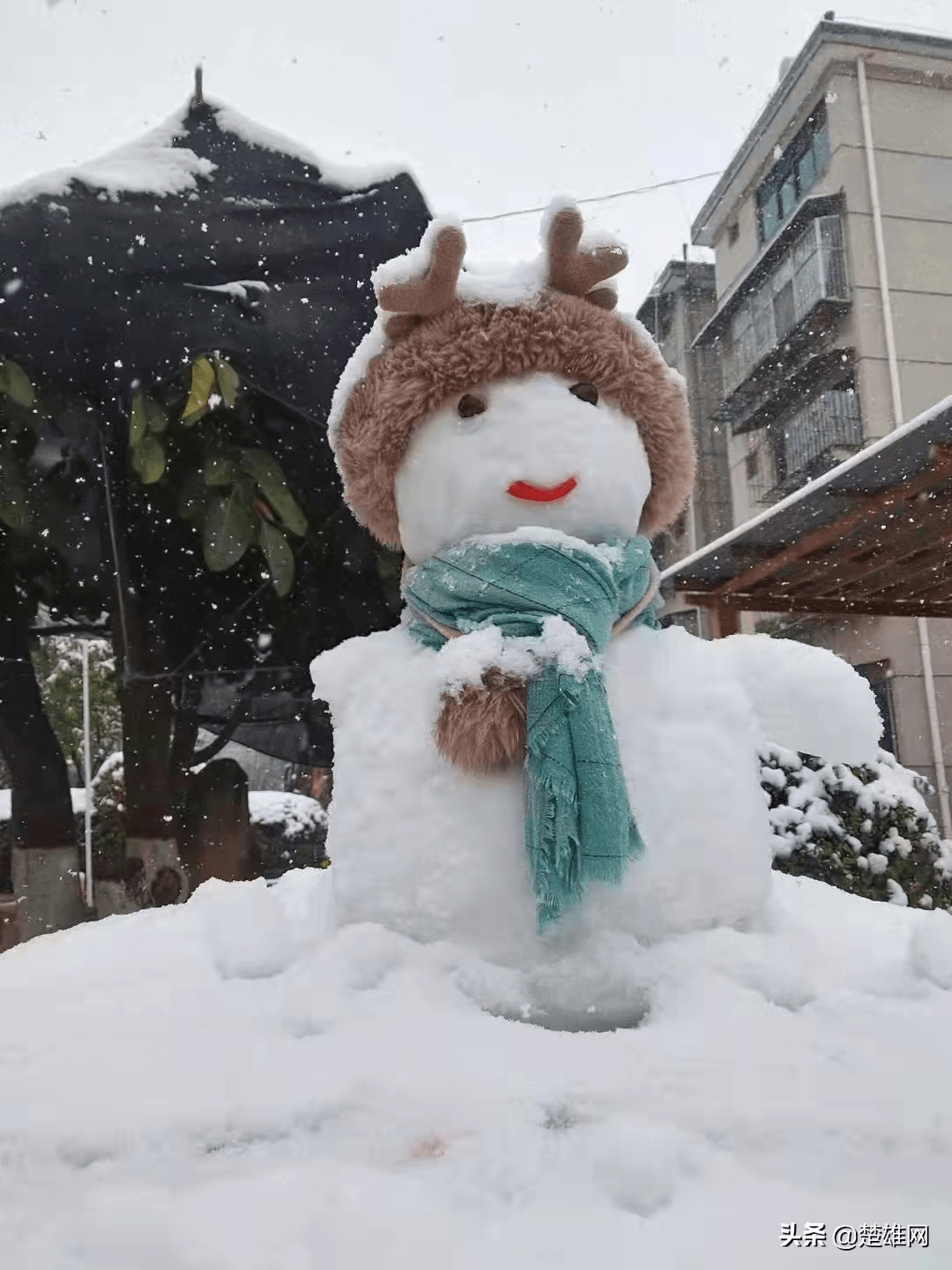 楚雄市民花式堆雪人大賽開賽快看看誰的創意最拉風