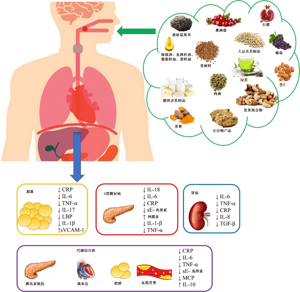 利于胆囊炎的食物_胆囊炎不能吃的9种食物_食用哪种食物适合胆囊炎的恢复