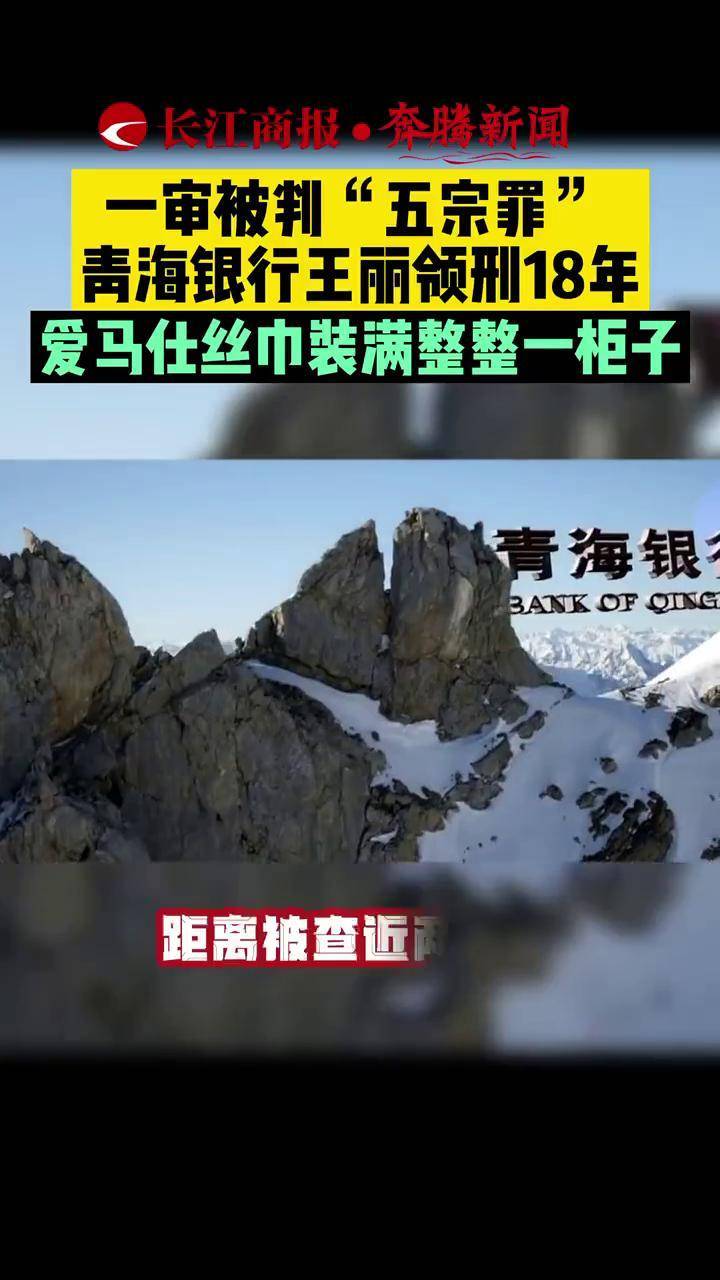 一审被判五宗罪青海银行王丽领刑18年爱马仕丝巾装满整整一柜子