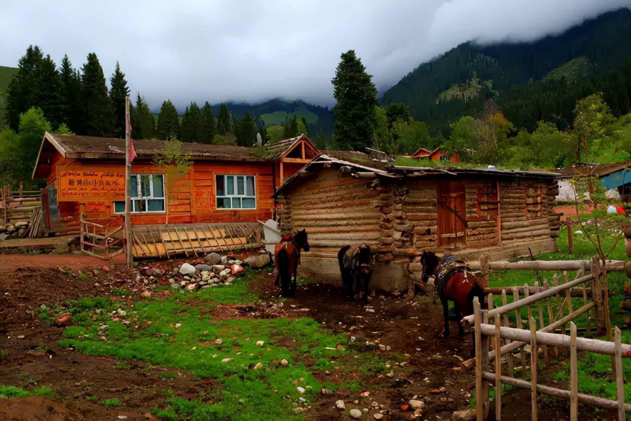 伊犁滑翔伞购买网站_伊犁 滑雪场