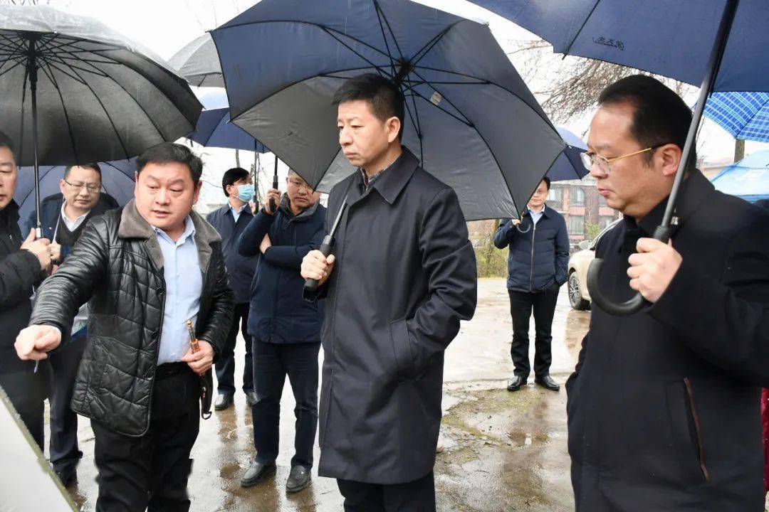 王洪斌调研批而未供,供而未用土地工作_张家界_发展_片区