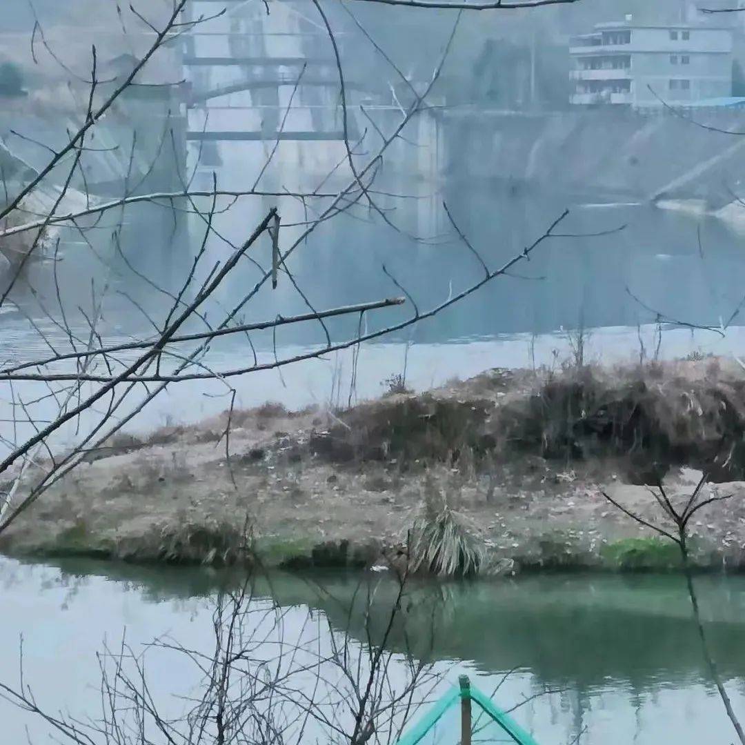 不要恐慌！隆回县六都寨水库水质发黑原来是这么回事相关检测魏源 