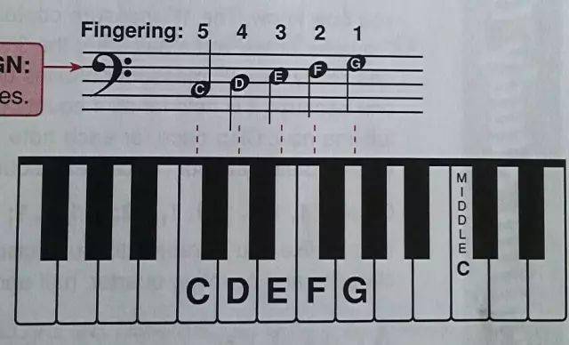 这可能是史上最全的钢琴学习入门知识._手指_音符_音名