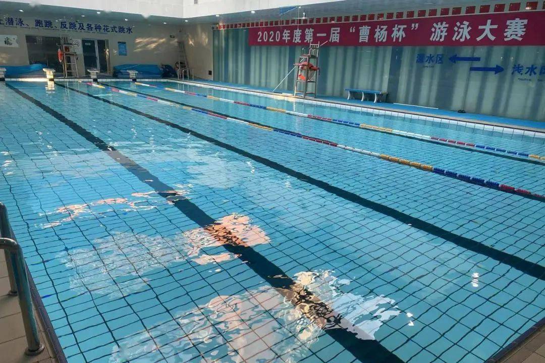 恢复开放曹杨游泳馆喊你来游泳啦