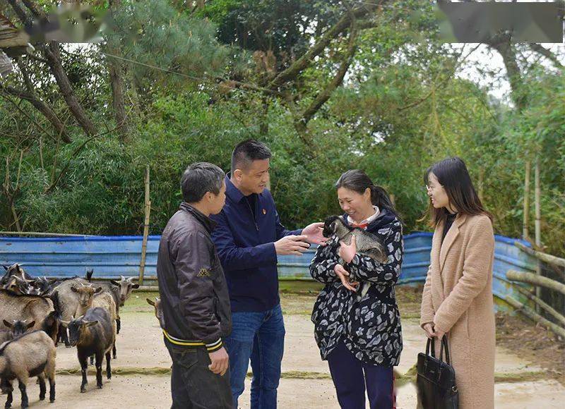 "刚到任第一天,闽侯县大湖乡纪委书记林鸿杰就接到村民董某的电话.