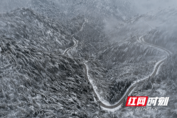 郑时|新田：水墨雪乡