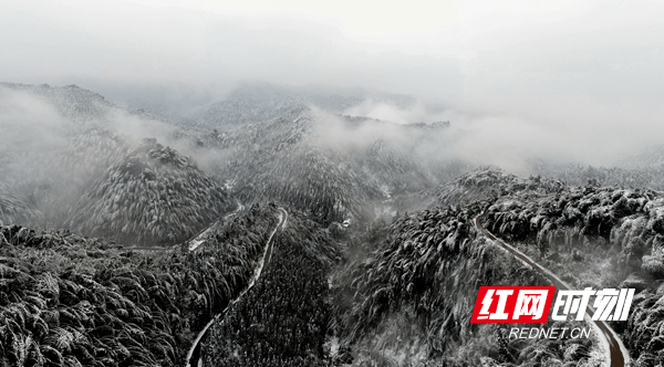 郑时|新田：水墨雪乡