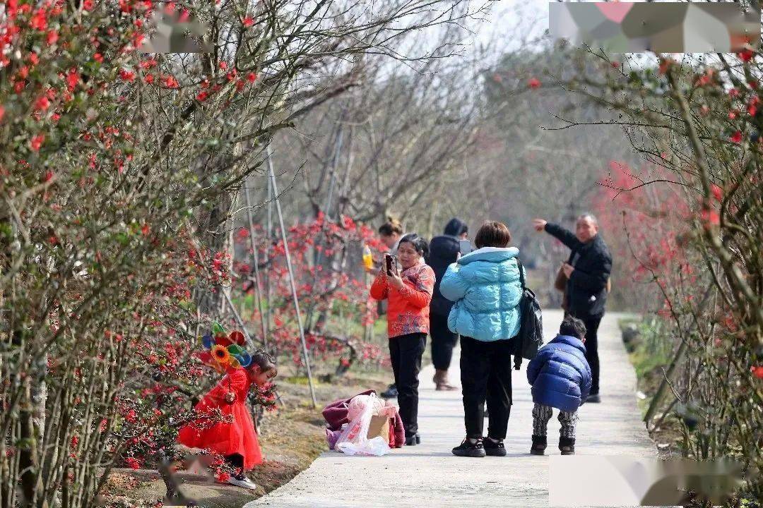 导航|都江堰春游私藏地！十里海棠、田园农场、地道乡味，春日新耍法都在这儿~