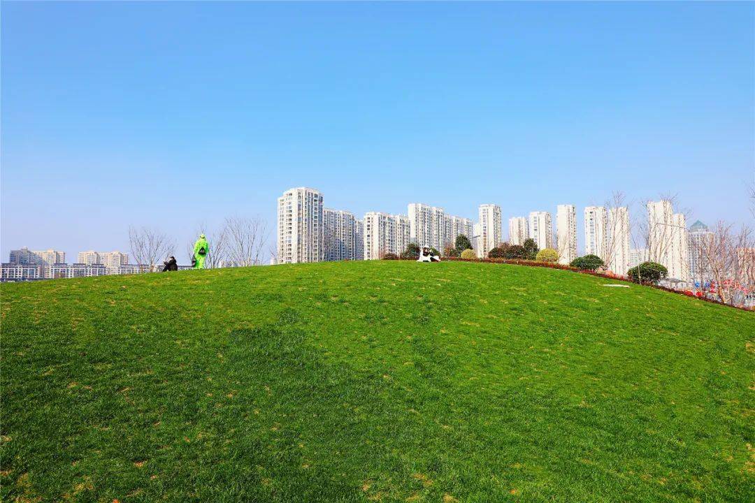 大變樣青青草坪悠悠綠道鹿鳴公園邀您週末相約