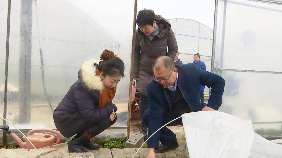 吴琛琛到三岔镇调研督导春耕生产工作