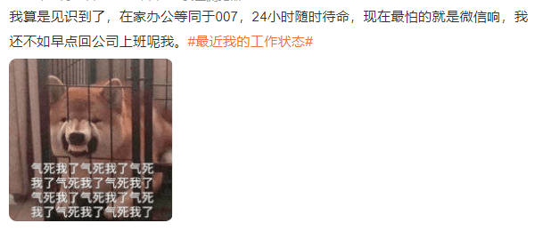公司|猝死的热搜，什么时候是个头