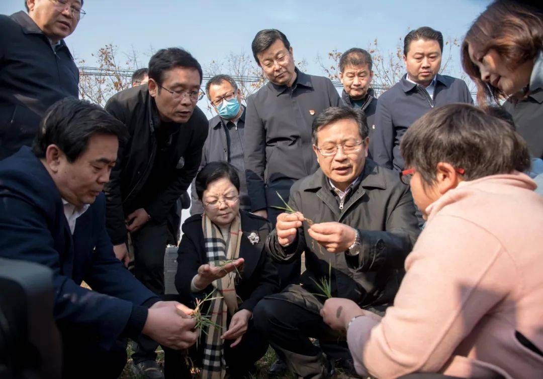 全省小麦抗灾强管百日行动现场推进会召开蒿慧杰讲话