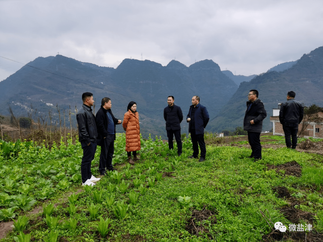 2月24日,春雨正在润泽大地,县委常委,盐井镇镇党委书记唐开云,县人民