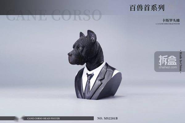 售价MOSTOYS 百兽首头雕 1/6卡斯罗犬头雕可动 兵人配件