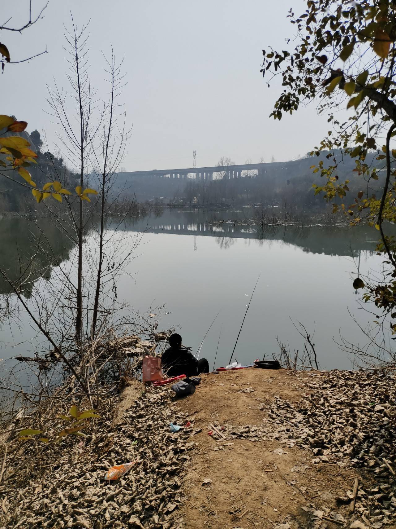 春钓滩真的是经验之谈这不今天打龟了