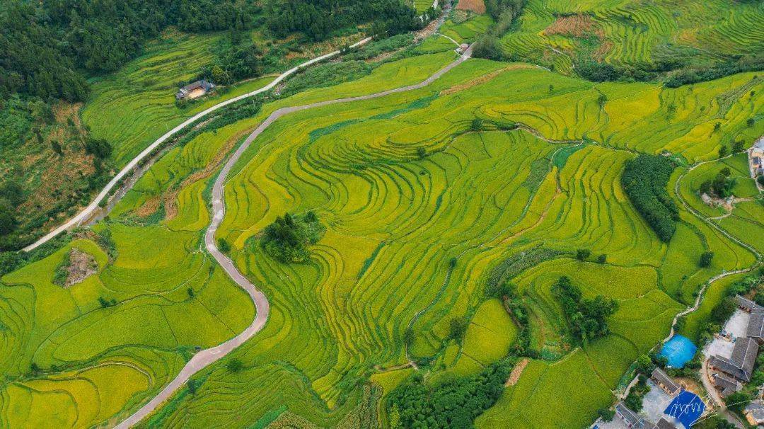 春游推荐景区(点:黔艺梅园,翠芽27°景区,中国茶海,水湄花谷,桃花江