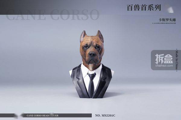 售价MOSTOYS 百兽首头雕 1/6卡斯罗犬头雕可动 兵人配件