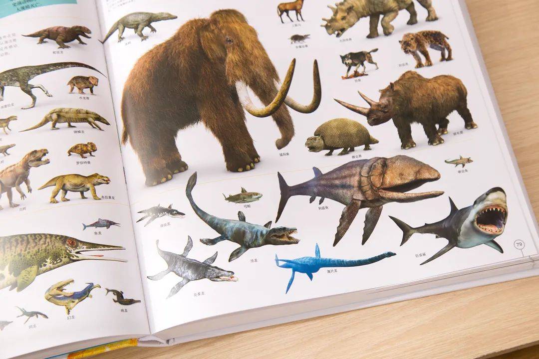 澎湃好物 | DK大百科，用世界的精彩，激活你的好奇心！