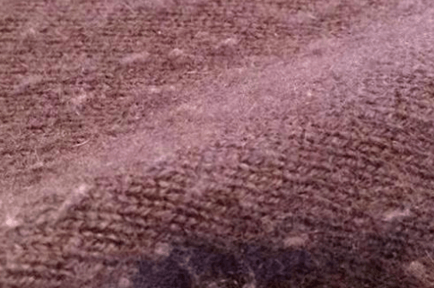 显得 早春打底衫怎么选?教你这招,舒服又百搭,还很显年轻!