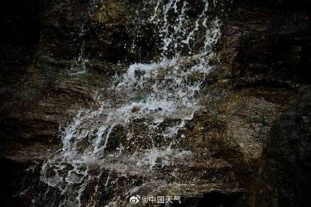 王晓|听春的律动！北京植物园雪化冰融溪水奔流