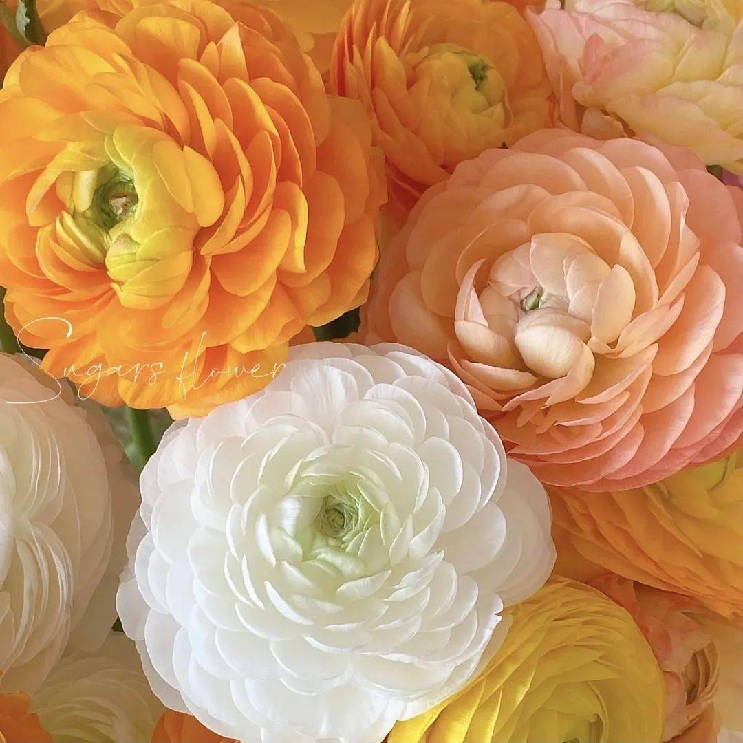 产品【福利】9.9元起亲测好用的爆款好物，包邮到家！