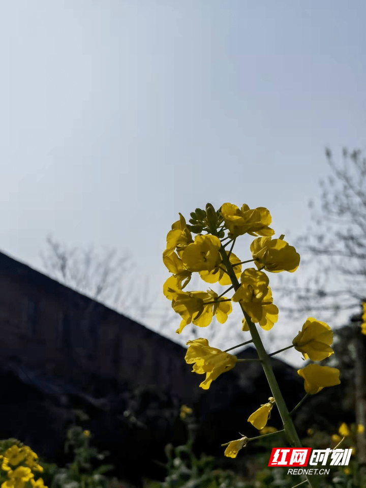 辉煌|阳光依旧抵达