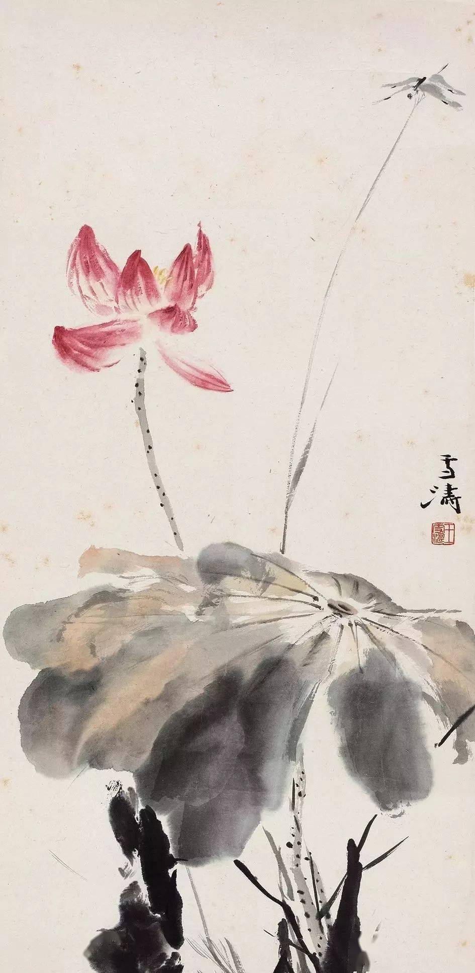 近现代名家笔下的荷花蜻蜓,美!_芥子园_画谱_作品