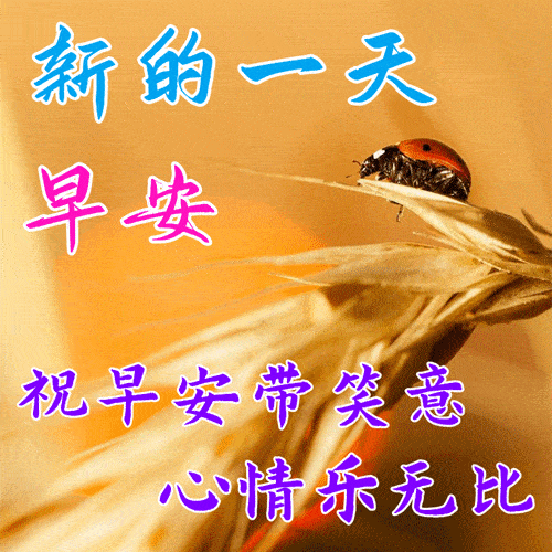 2月28日早上好祝福语图片大全问候动态表情图片大全