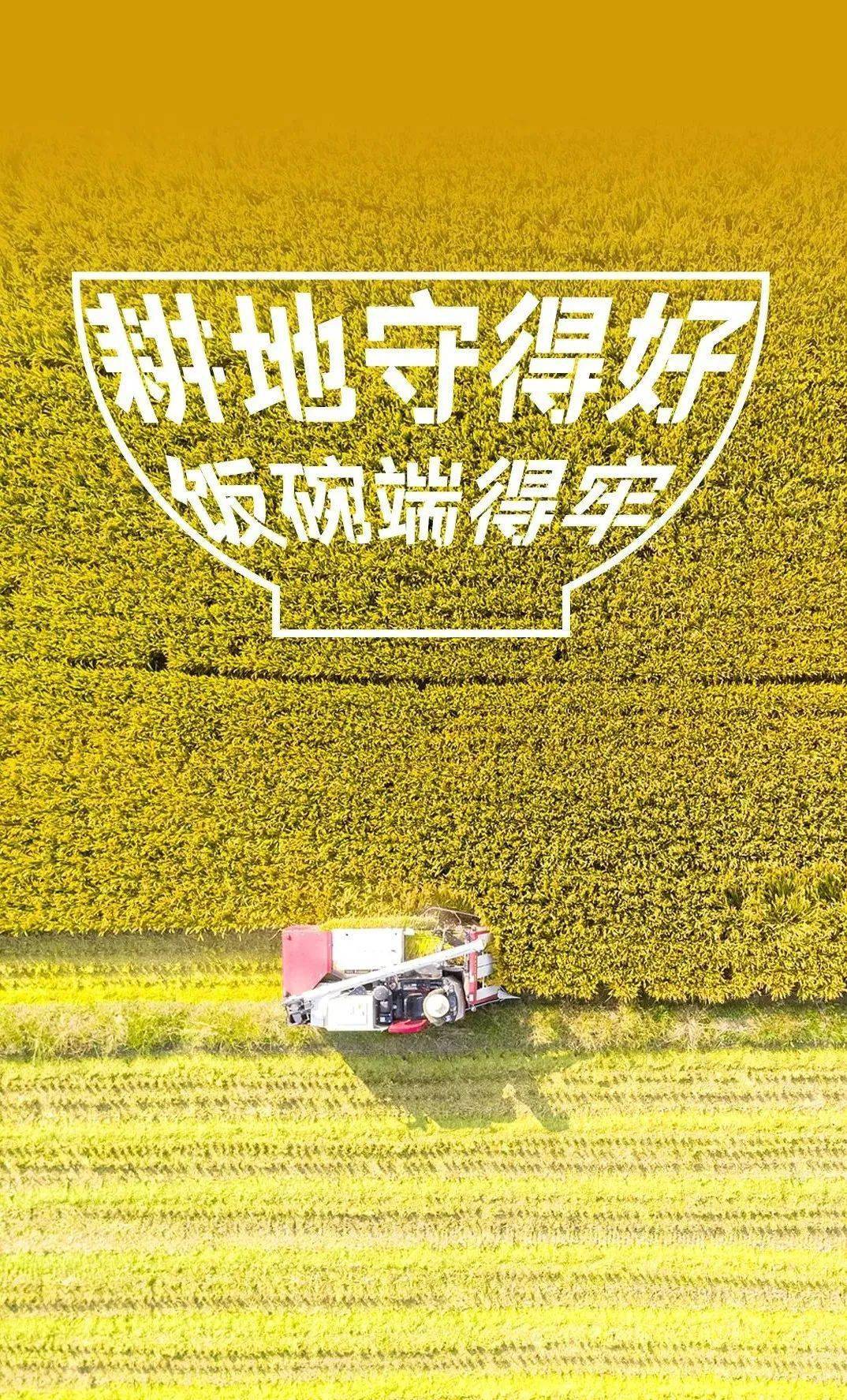 公益海报丨保障国家粮食安全 严格保护耕地_东安_三审_终审