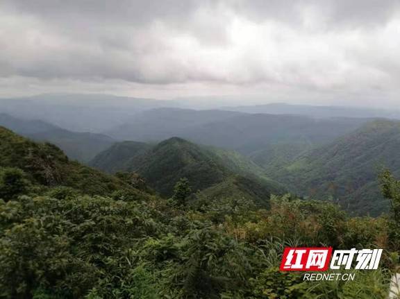 散文|城步苗鄉生態美 熊出虎沒鹿來臨_老山_犀牛_老虎