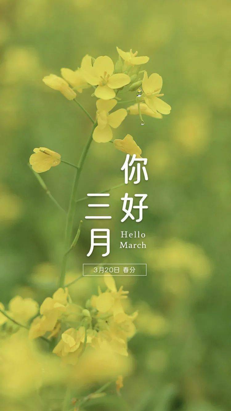 三月你好愿你一路繁花不负春光