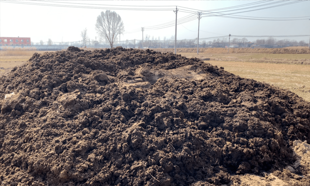 典型案例丨濮阳市部分小型养殖场粪污直排污染严重