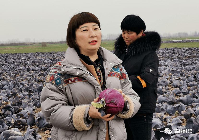 巾帼风采王小亚公益路上的领路人