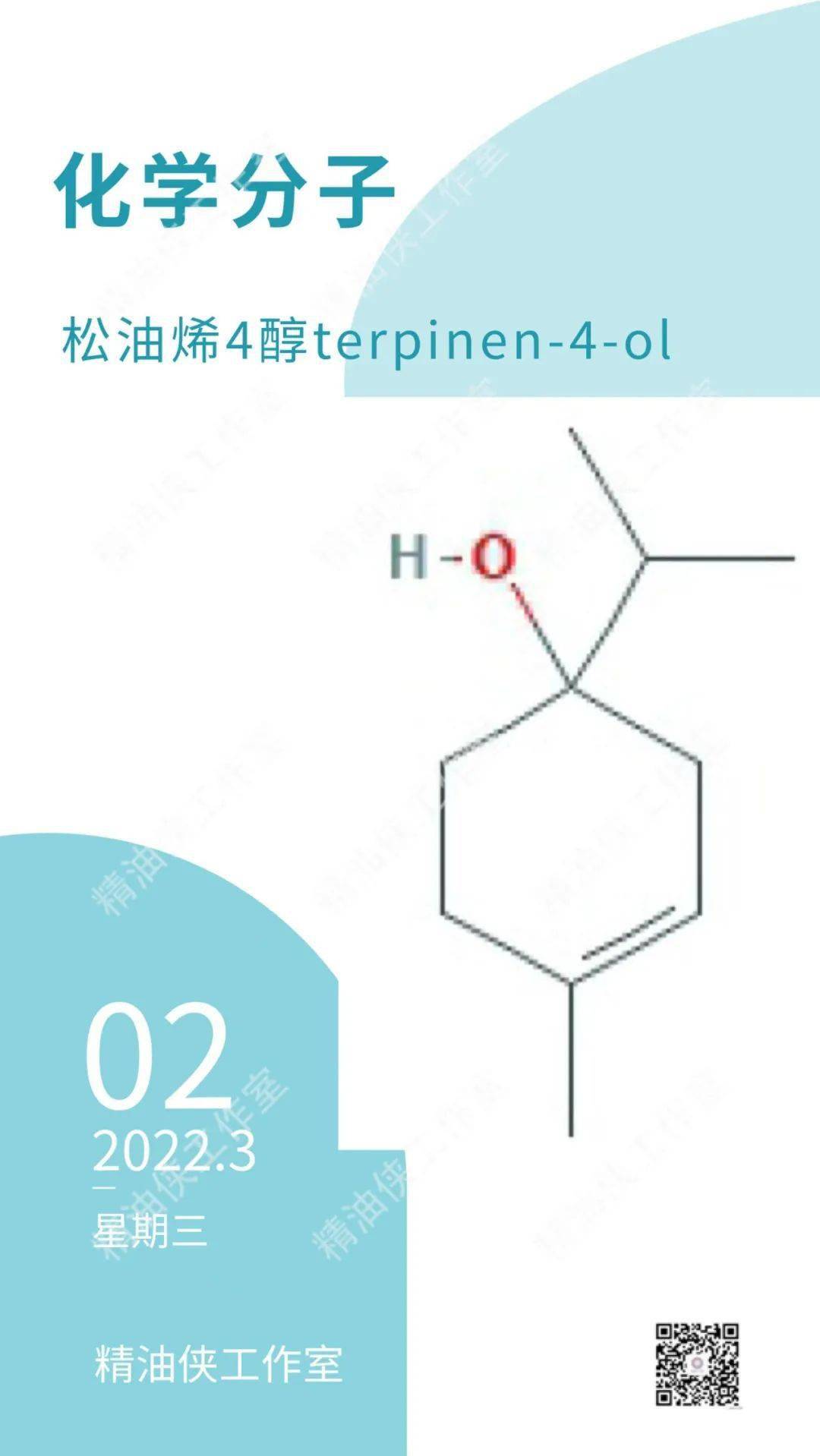 分子单萜醇松油烯4醇