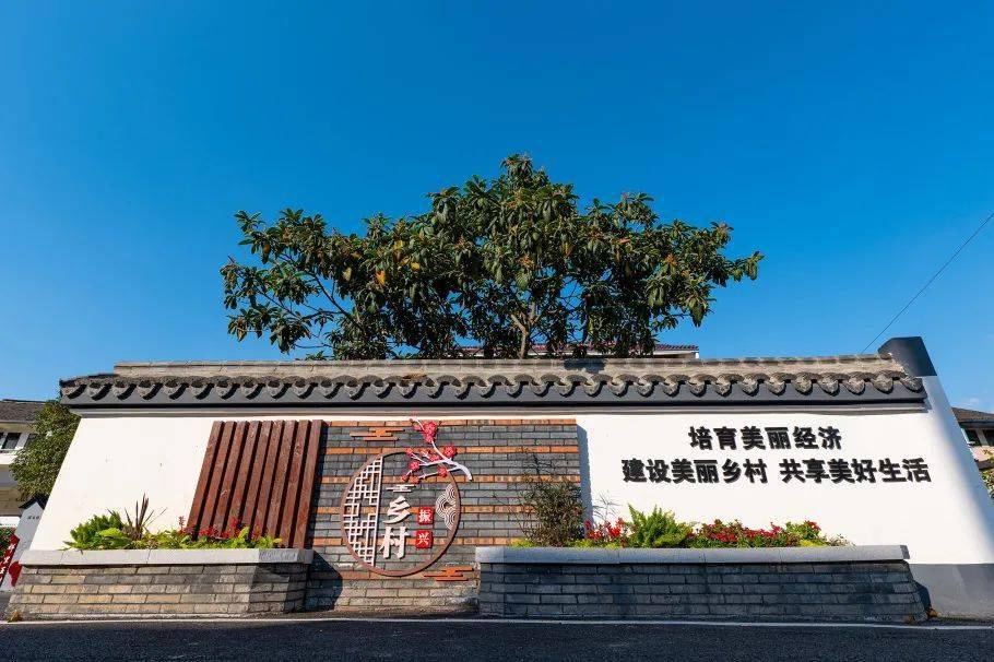 近年来,祥里王村的发展越来越好,但李建江在调研过程中发现,村子仍