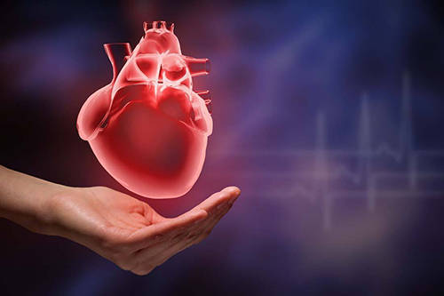 症状|心脏瓣膜病变 久拖合并“巨大心”