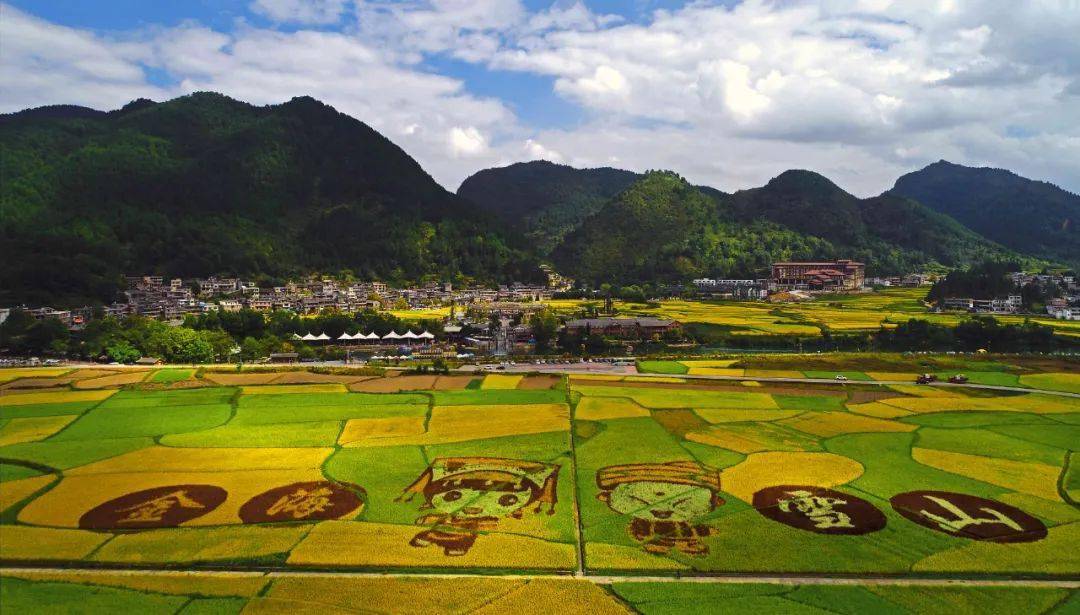 所有人赏花游贵定这封邀请函请查收