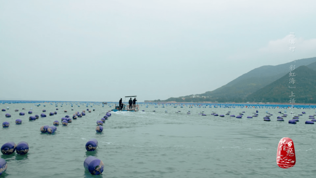 三澳村|今晚去看海啊！广东三澳村“彩虹海”等你来打卡！